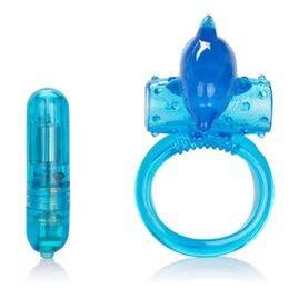 Erection ring