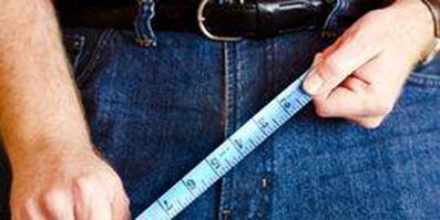 The dimensions of a man's genital
